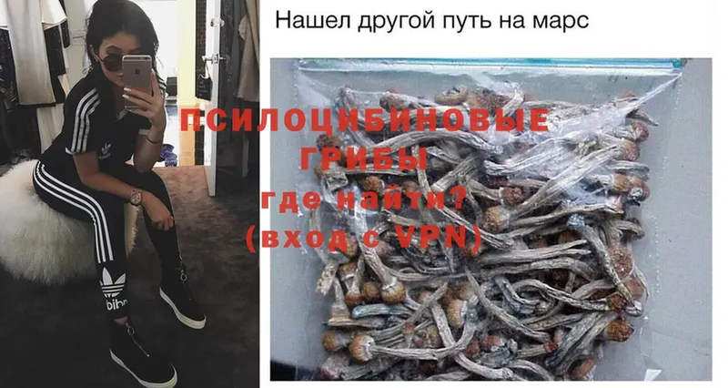 Псилоцибиновые грибы Psilocybe  Углегорск 